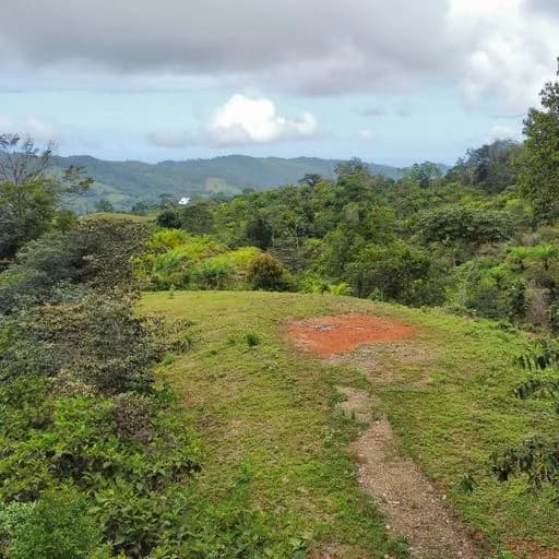 Land at San Isidro del General