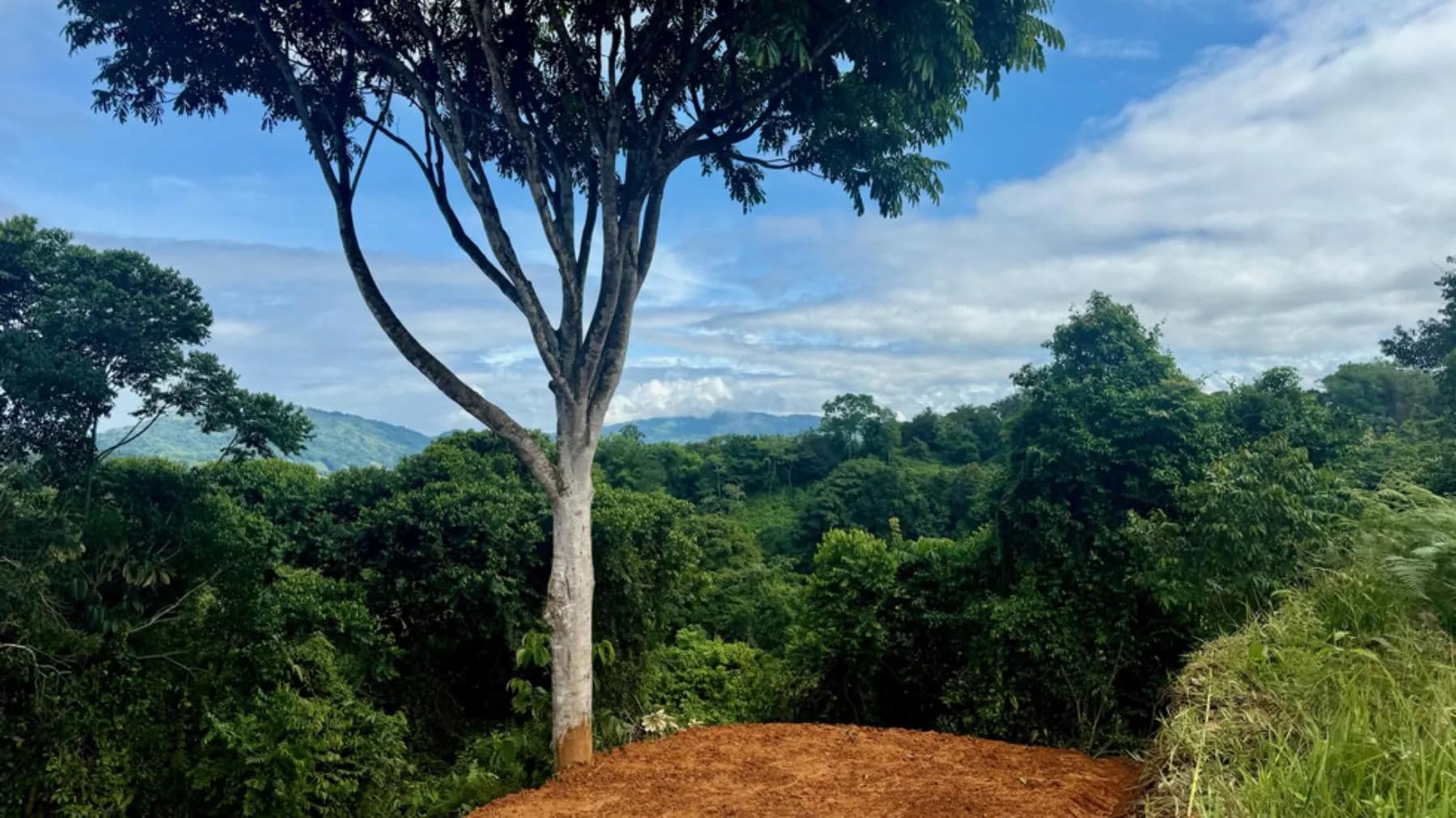 Terreno en Bahía Ballena
