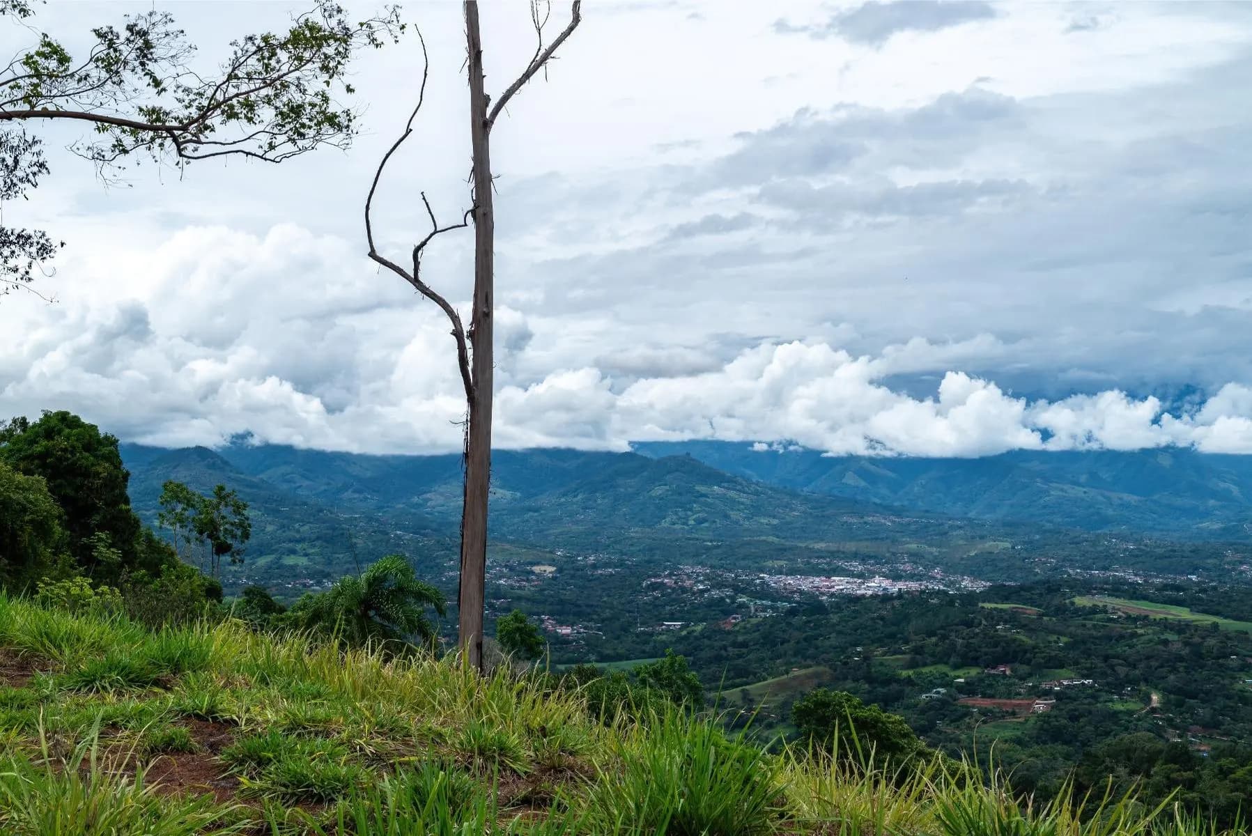 Land at San Isidro del General