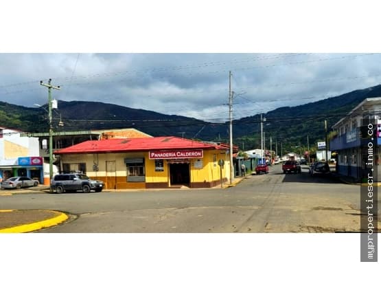 Property at Santa María de Dota