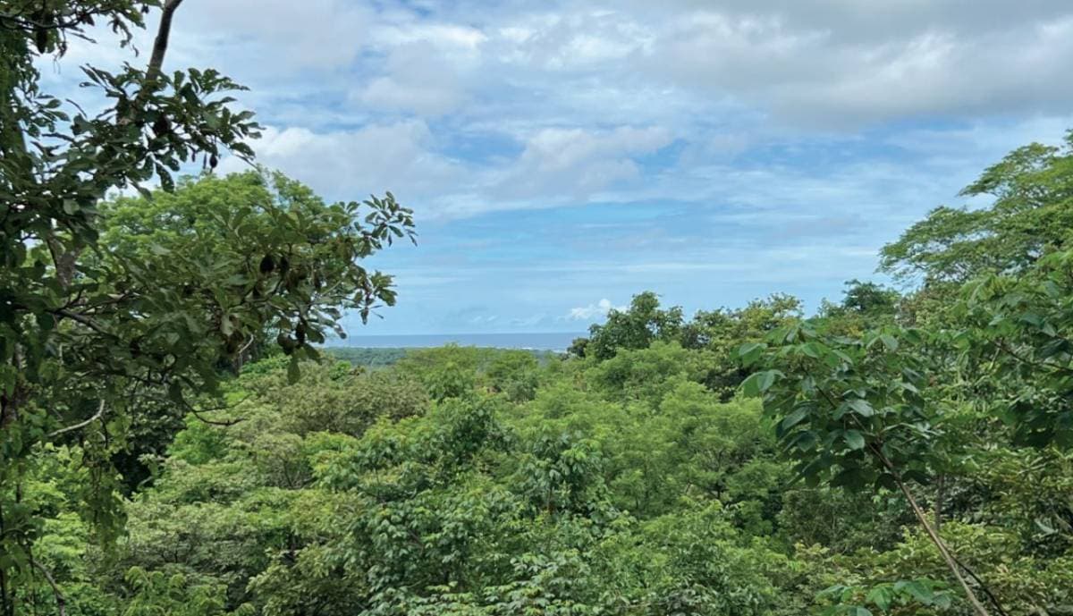 Property at Tamarindo