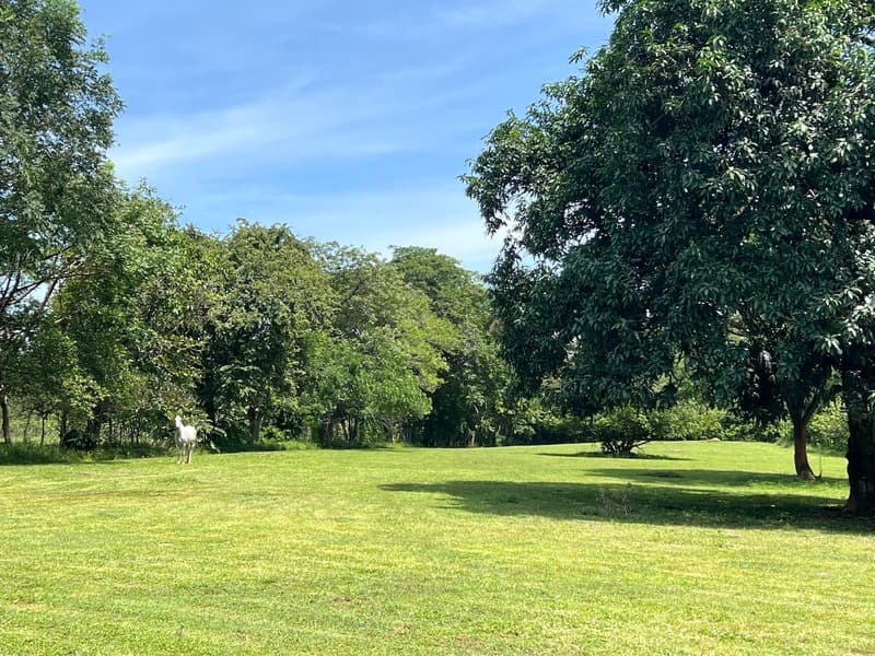 Terreno en San Mateo