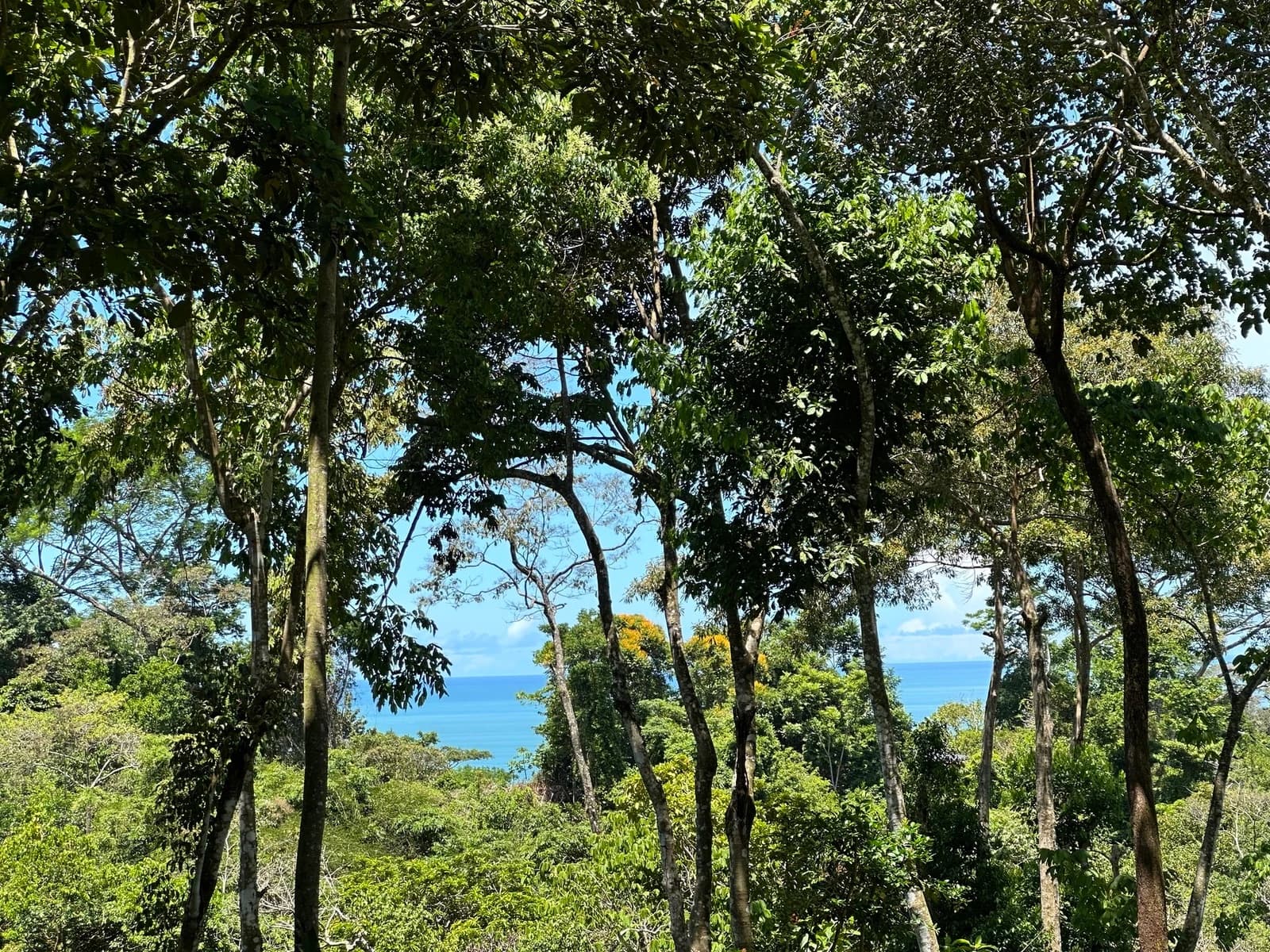 Land at Quepos