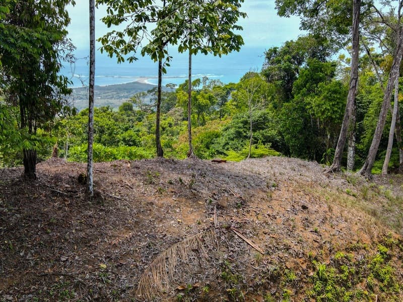 Land at Bahía Ballena