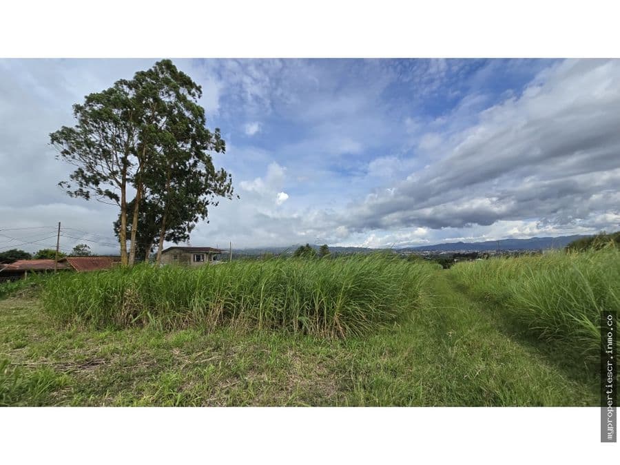 Estate at San Jerónimo