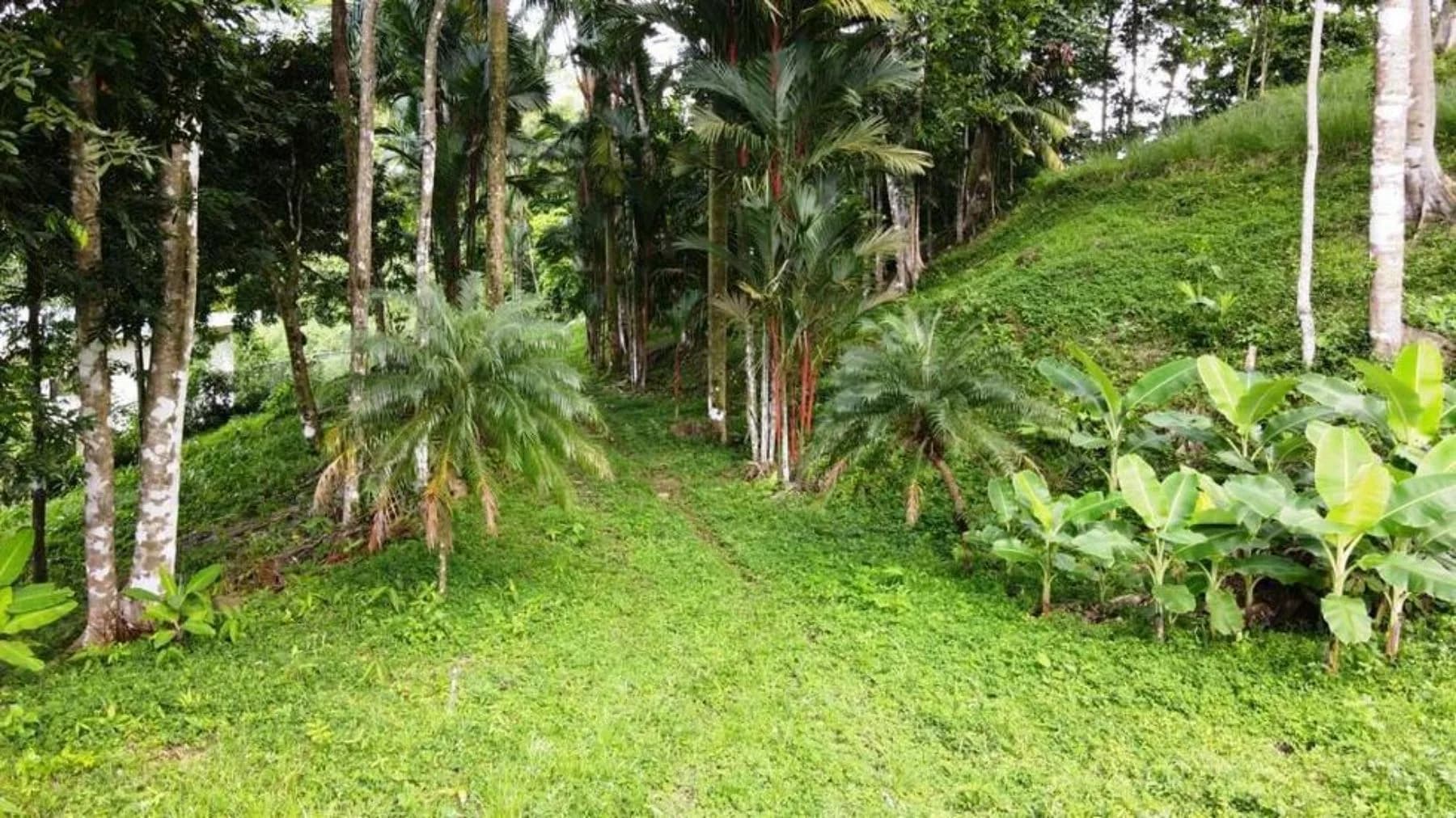 Terreno en Bahía Ballena