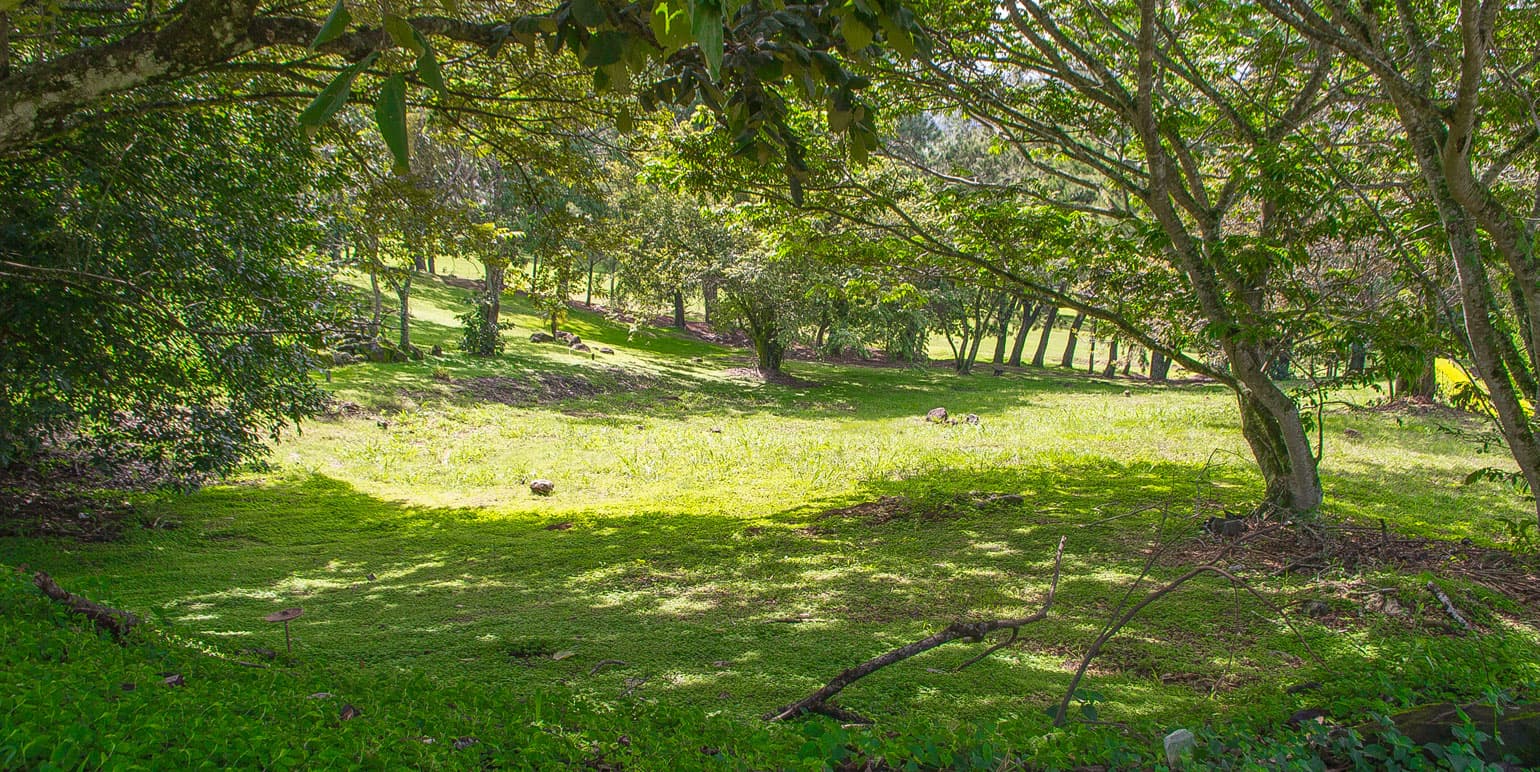 Propiedad en Ciudad Hacienda Los Reyes