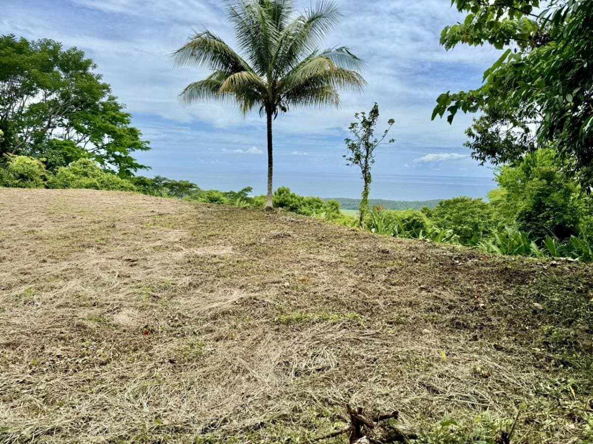 Property at Hatillo