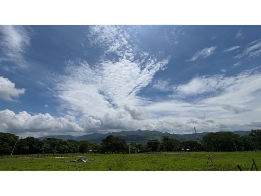Finca en Picagres
