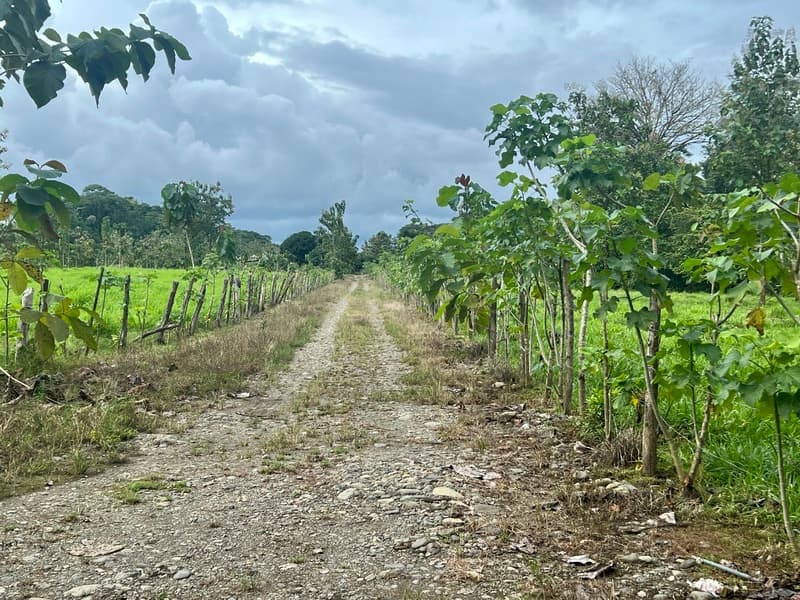 Terreno en Naranjito