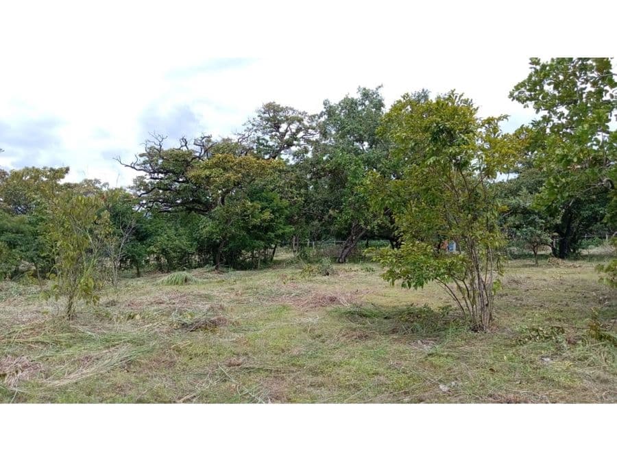 Propiedad en Cañas Dulces