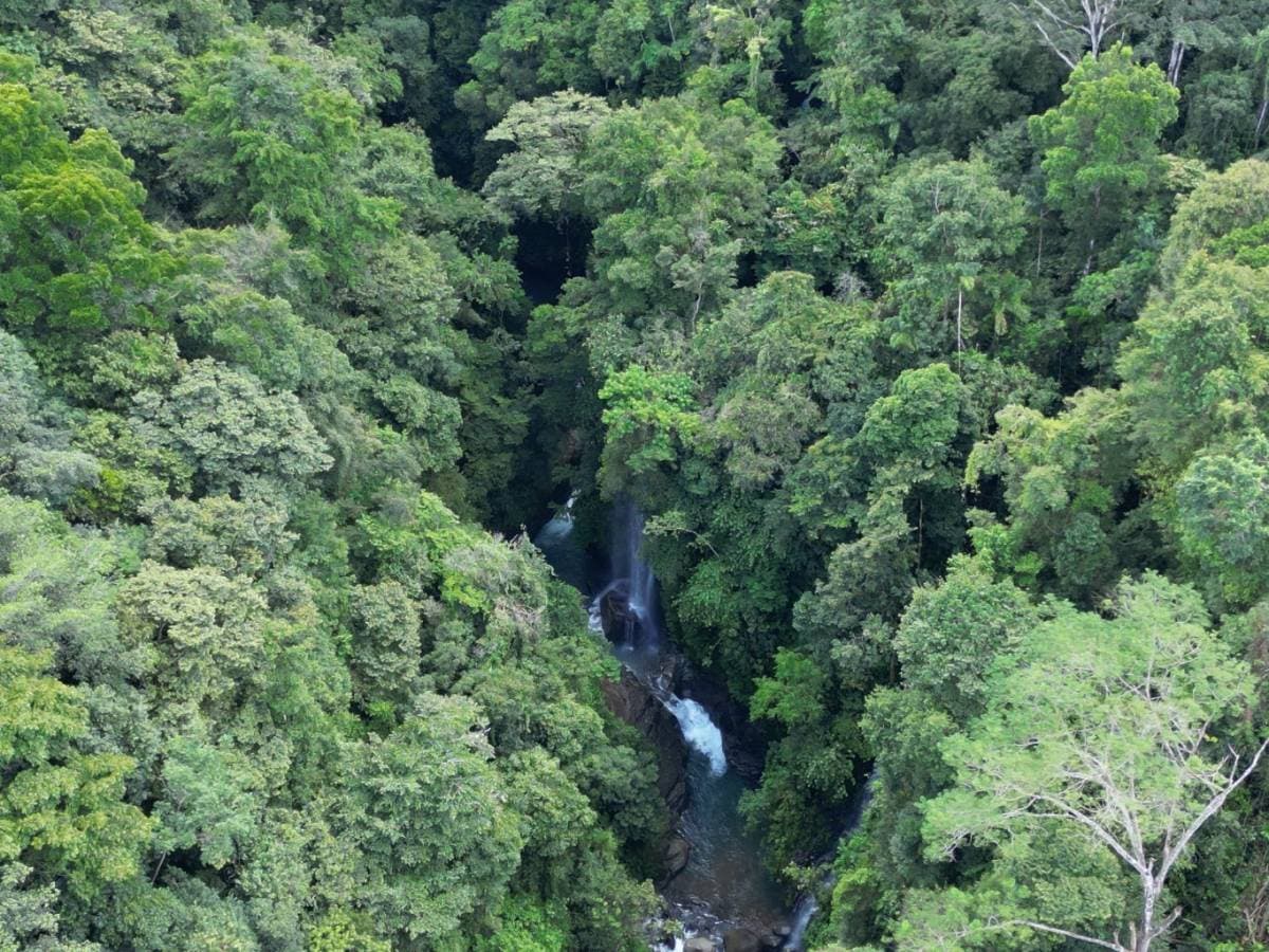 Property at Platanillo