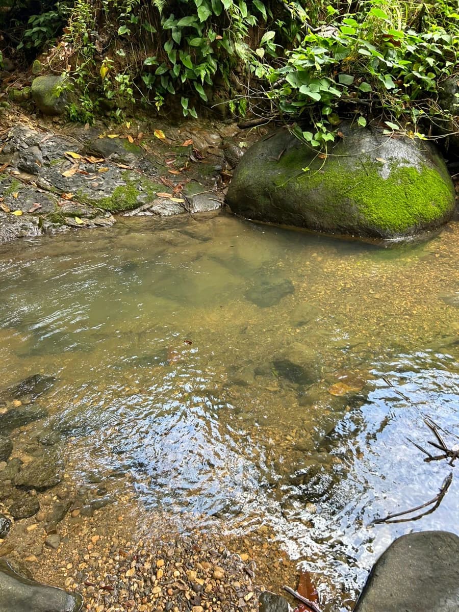 Terreno en Las Brisas