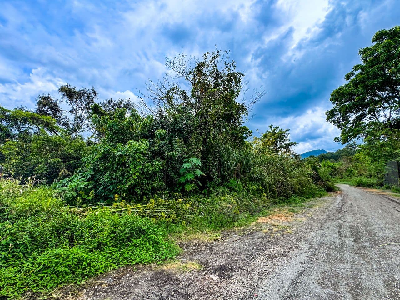 Property at San Rafael