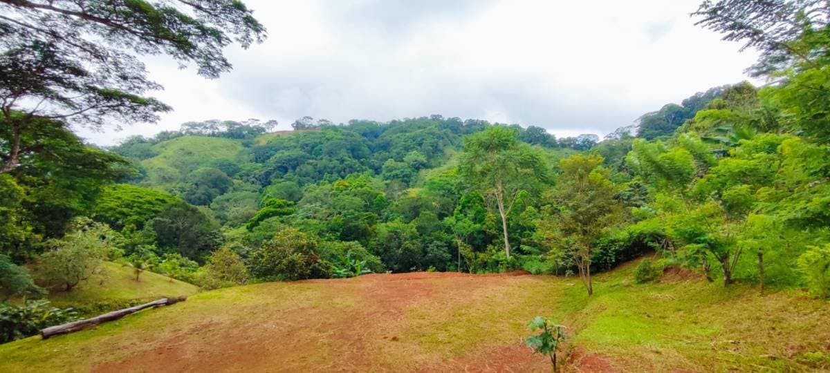 Property at Tarcolitos