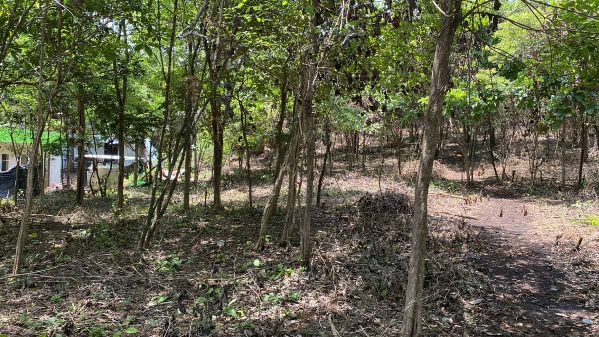 Property at Santa Cruz