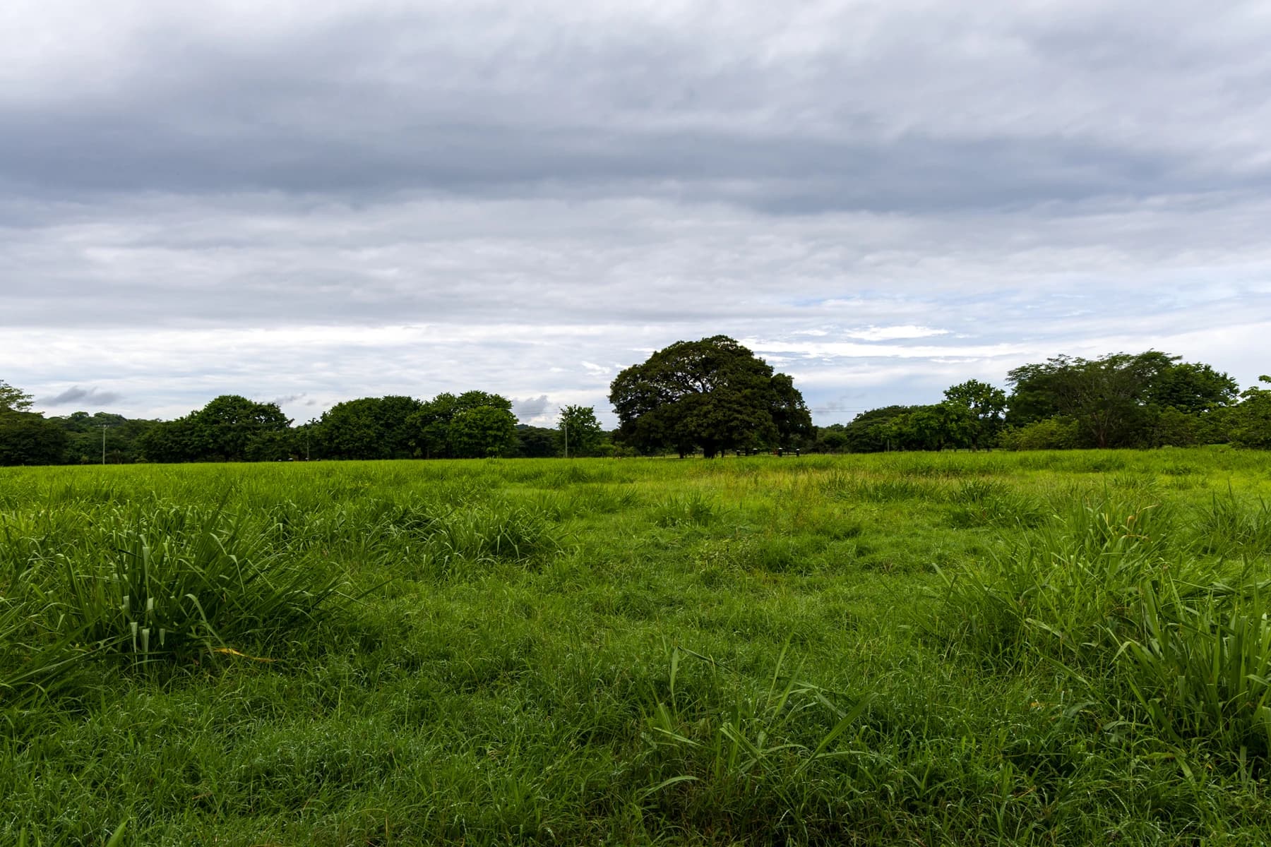 Land at Tempate