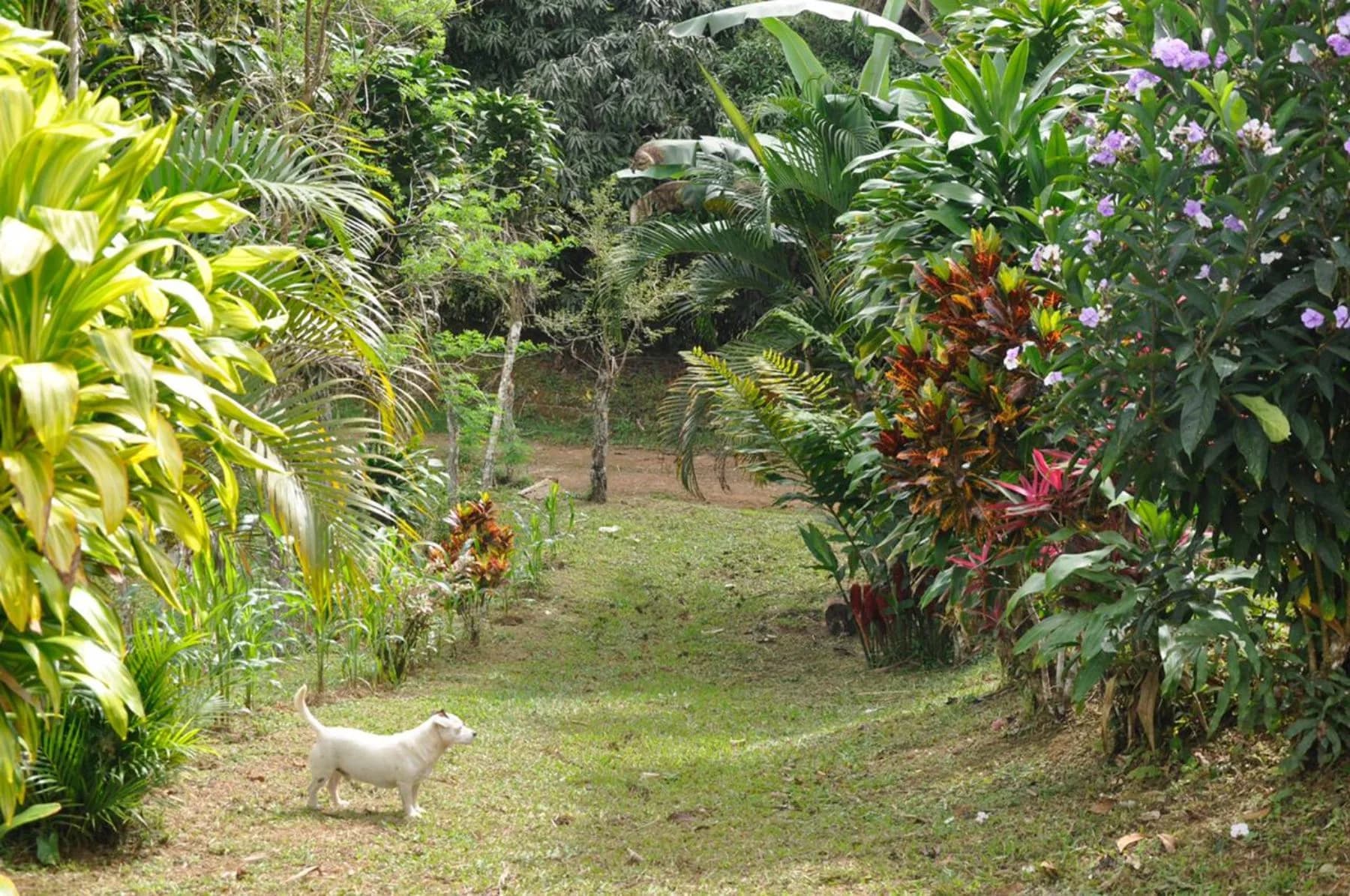 Terreno en Bahía Ballena