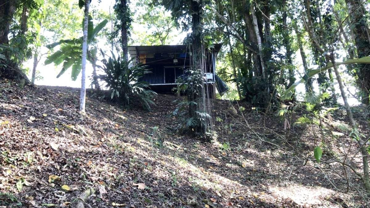 Property at Puerto Viejo Centro