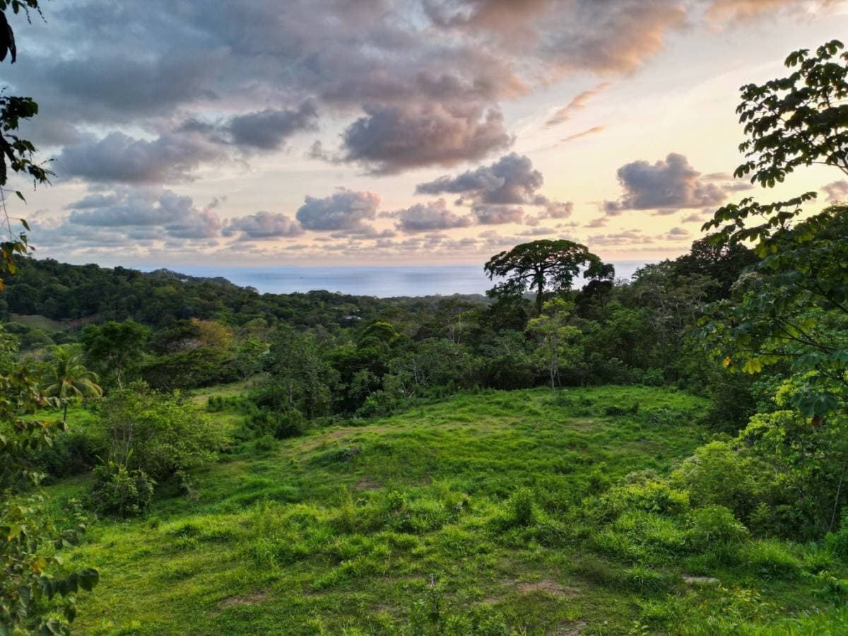 Property at Uvita