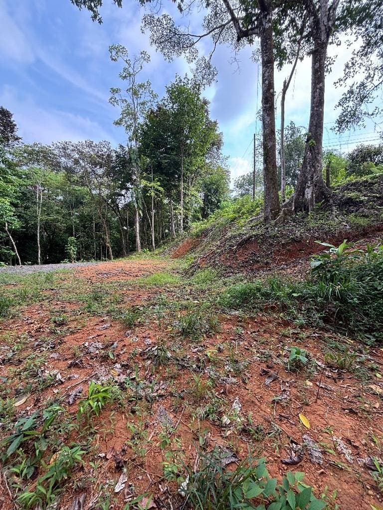 Property at Ojochal