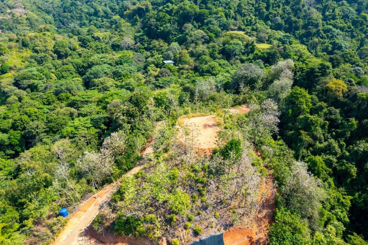 Property at Savegre