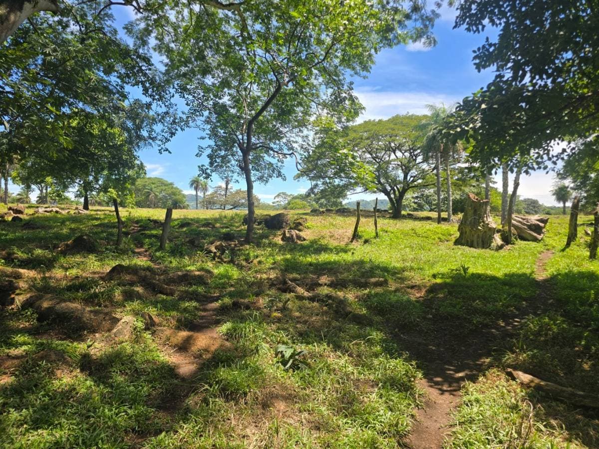 Property at Picagres