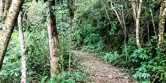 Propiedad en Santa Cruz