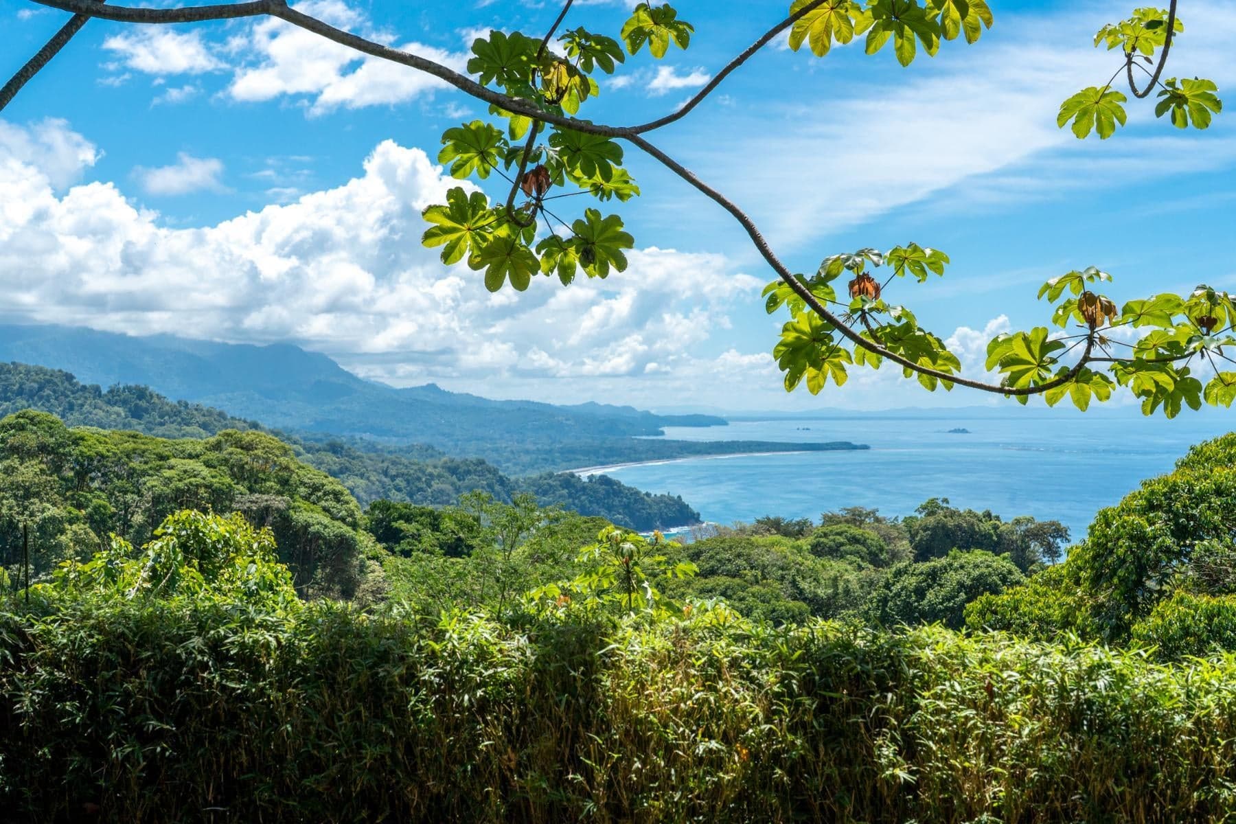 House at Bahía Ballena
