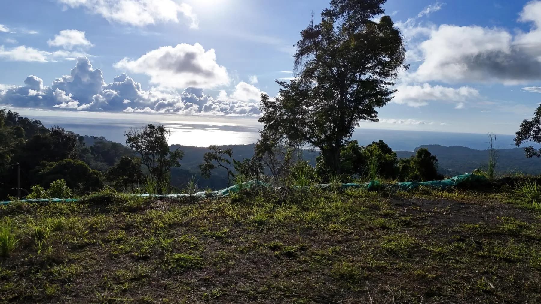 Terreno en Puerto Cortés
