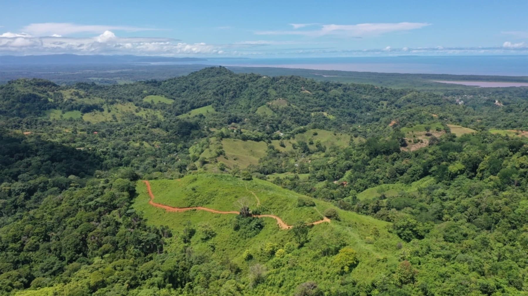 Land at Bahía Ballena