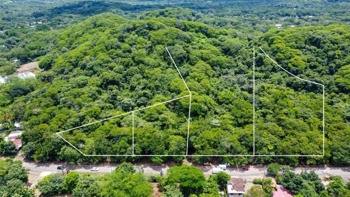 Property at Tamarindo