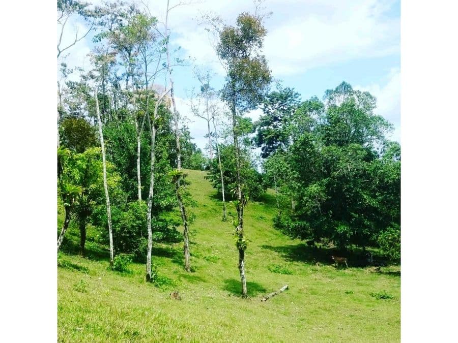 Terreno en La Fortuna