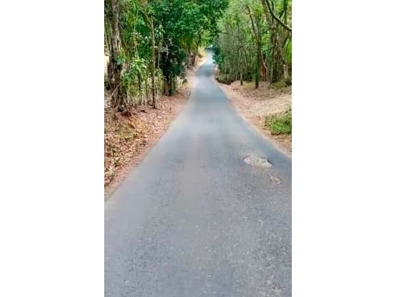 Propiedad en Alajuela