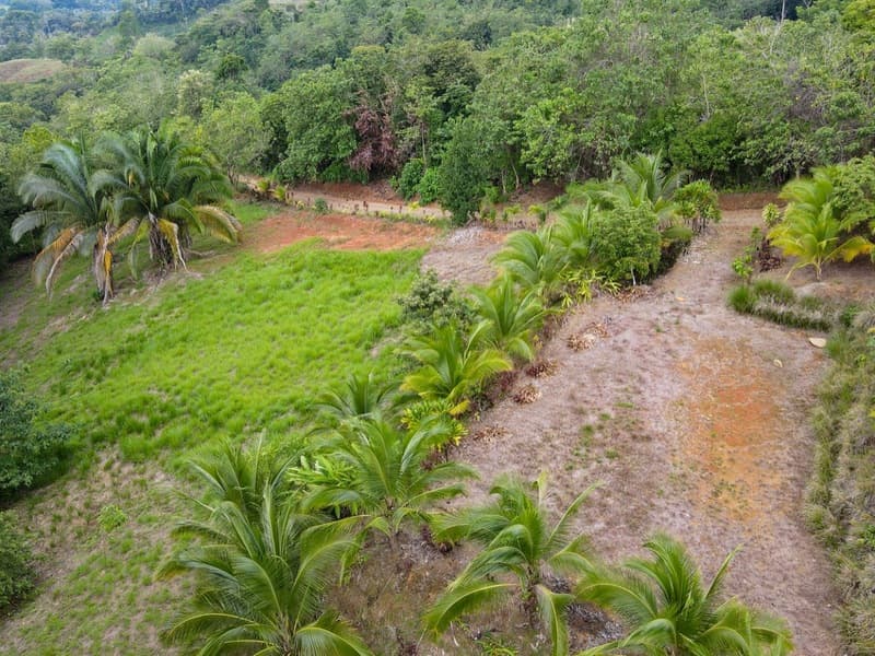 Land at Puerto Cortés