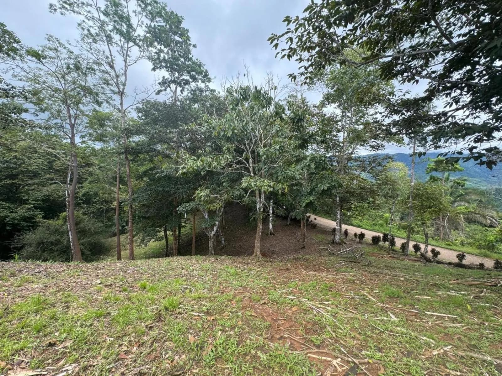 Land at Puerto Cortés