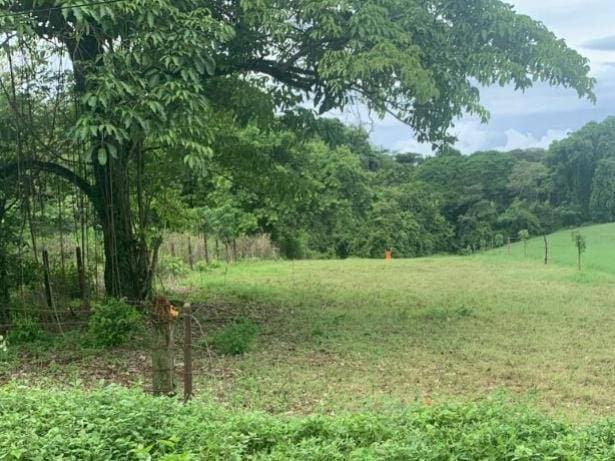 Propiedad en La Ceiba