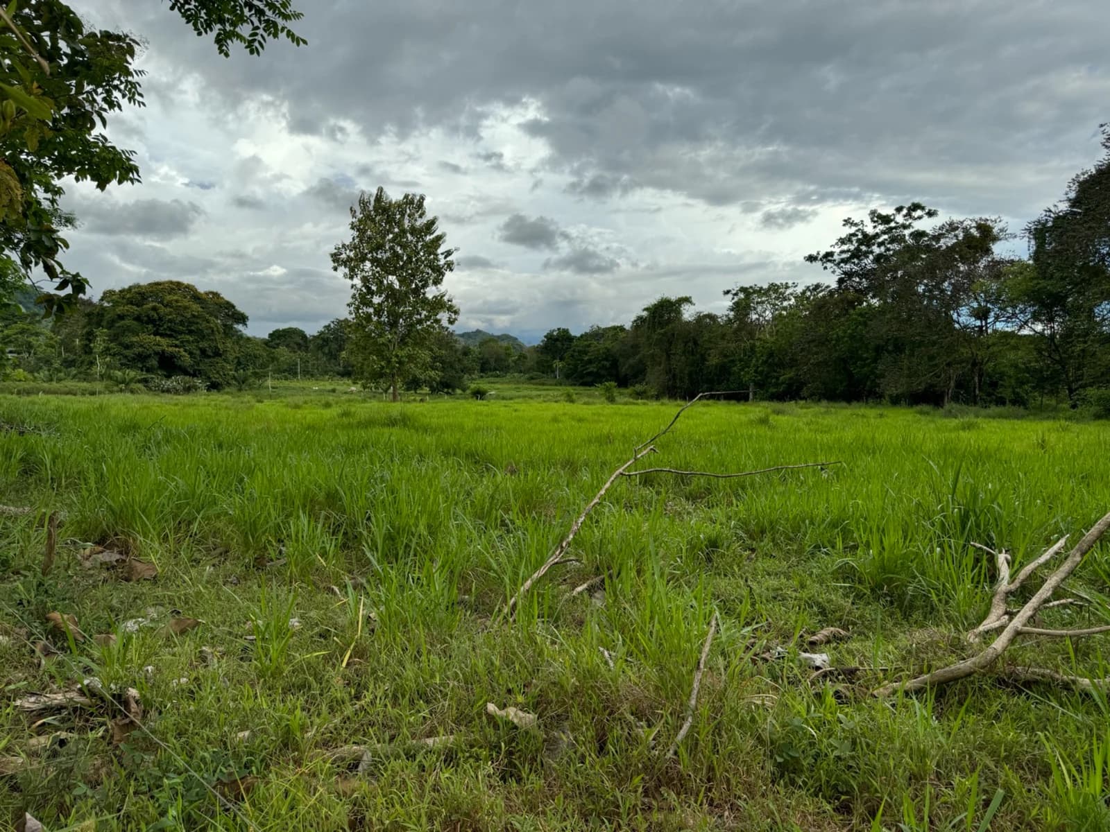 Terreno en Puerto Cortés