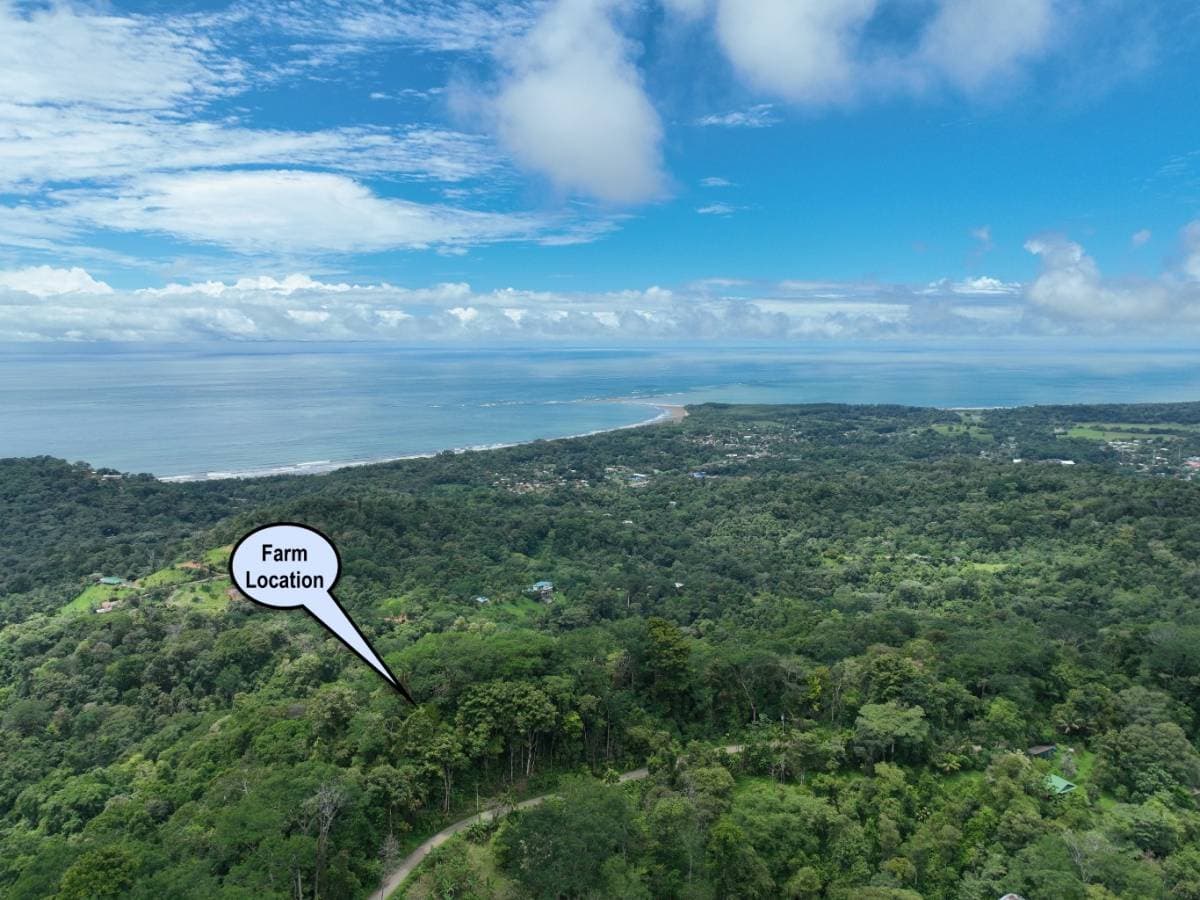 Property at Uvita