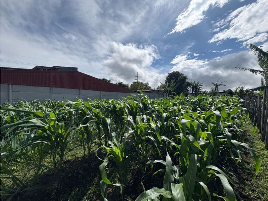 Terreno en Heredia