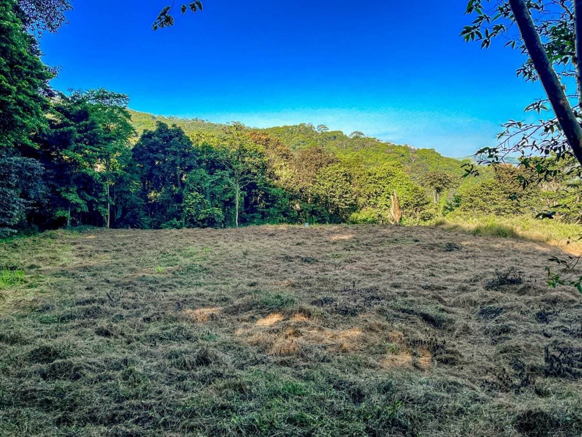 Property at Dominical