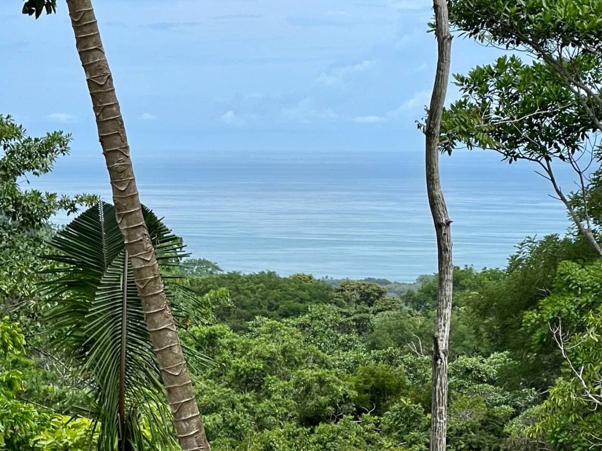 Property at Lagunas