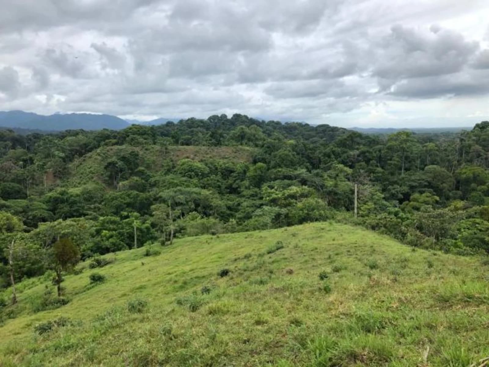 Land at Naranjito