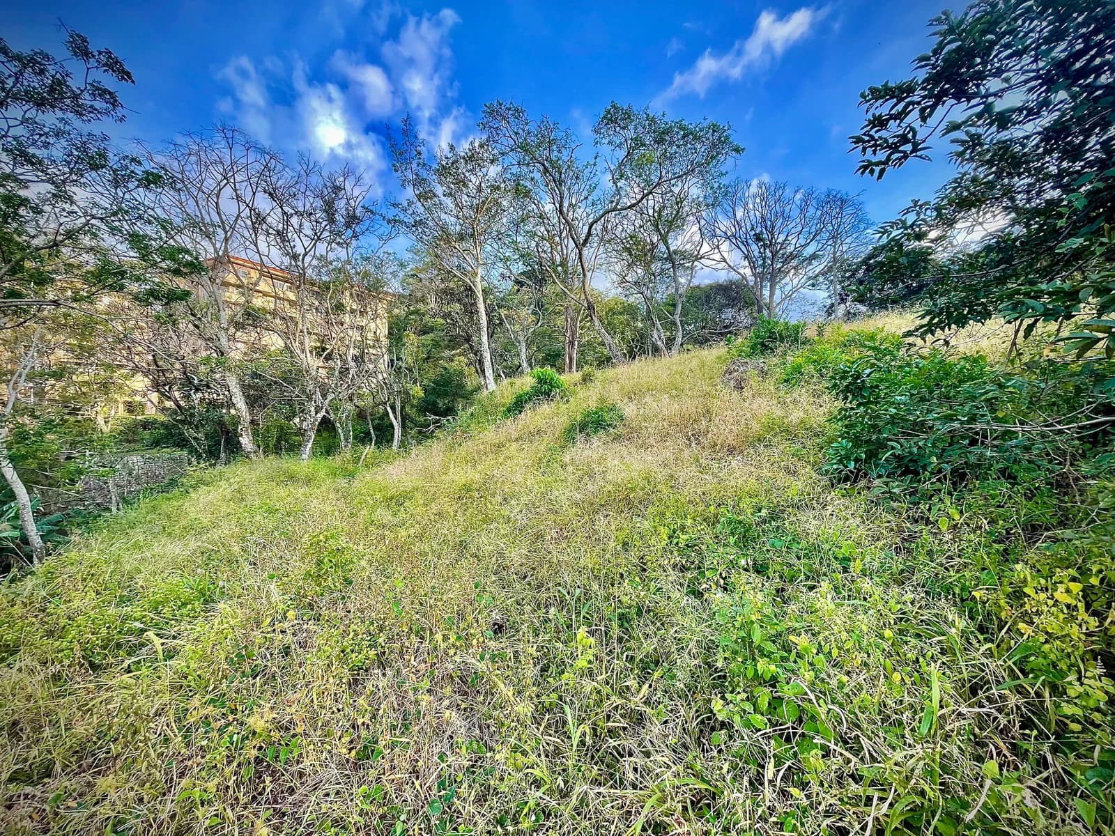 Terreno en Escazú