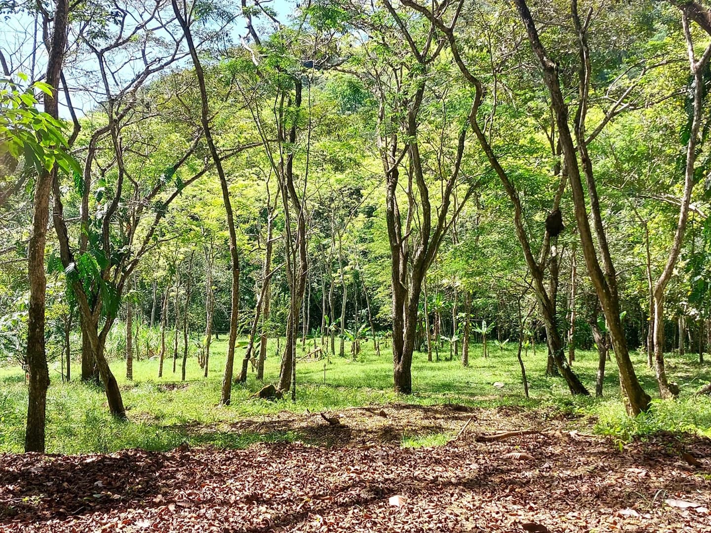 Terreno en Jacó