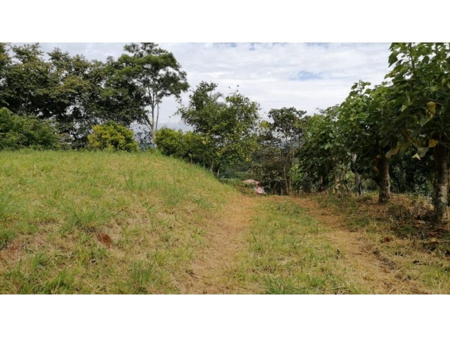 Property at Alajuela