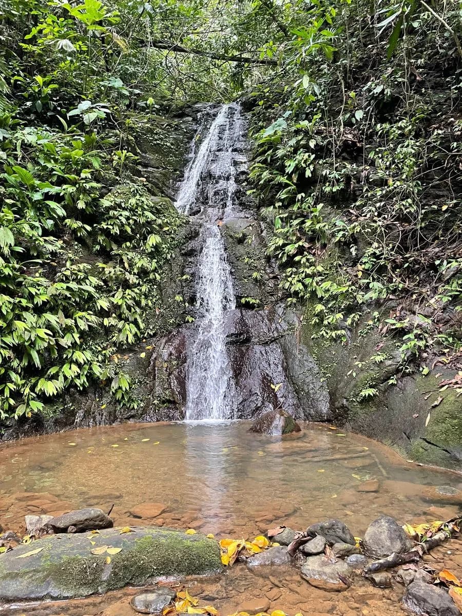 Land at Bahía Ballena