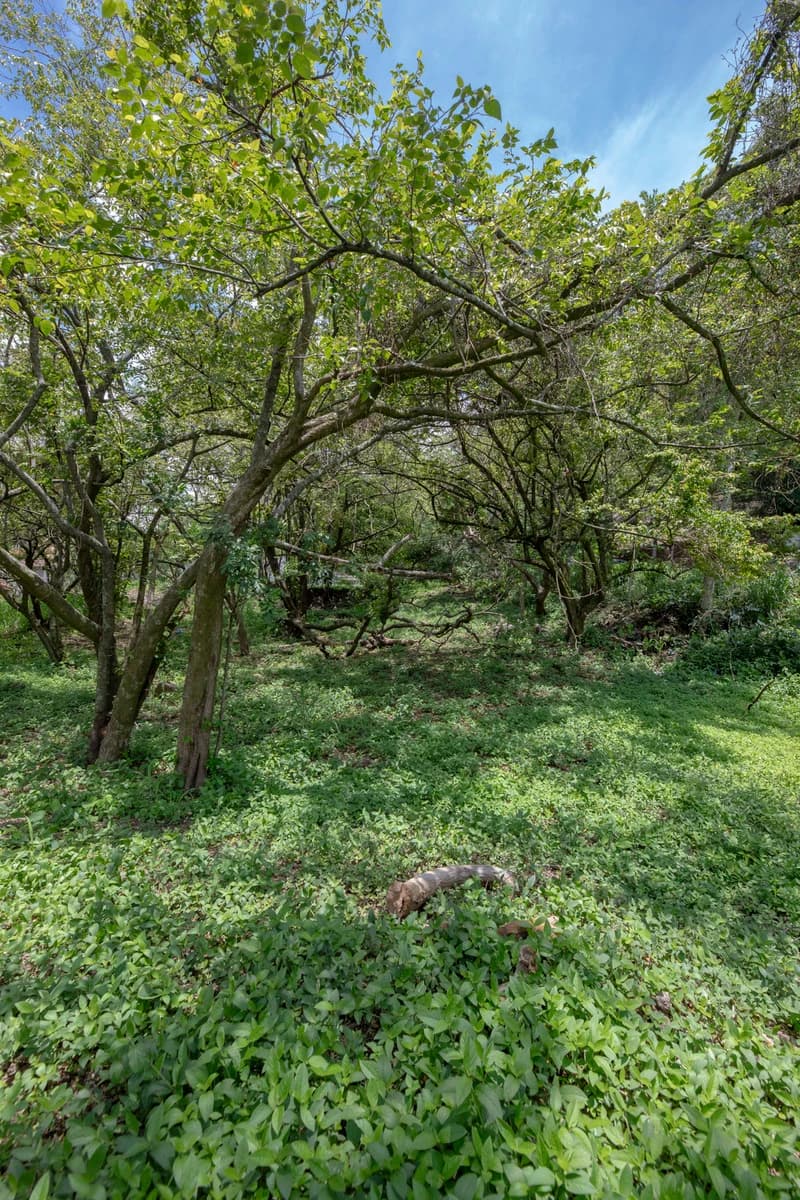 Terreno en Uruca