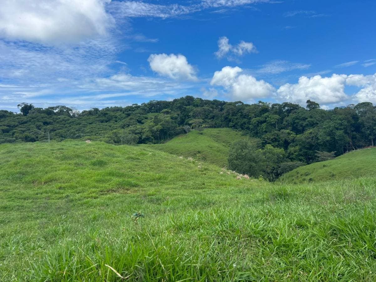 Property at Platanillo