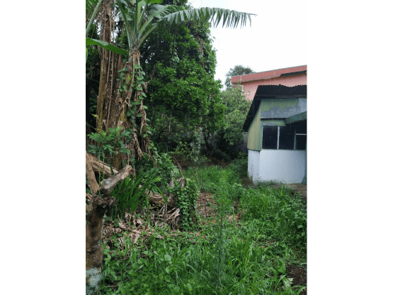 Property at Heredia